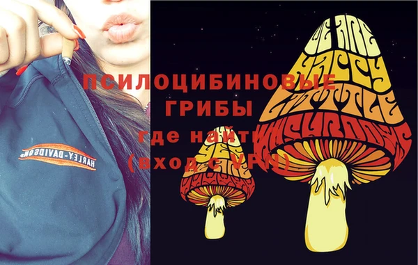 mix Алексин