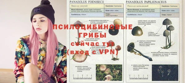 кокаин перу Алзамай