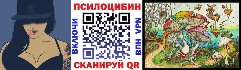 купить закладку  Зеленоградск  kraken ONION  Псилоцибиновые грибы Magic Shrooms 